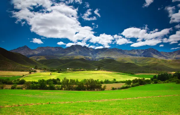 Zuid-Afrikaanse landschap — Stockfoto