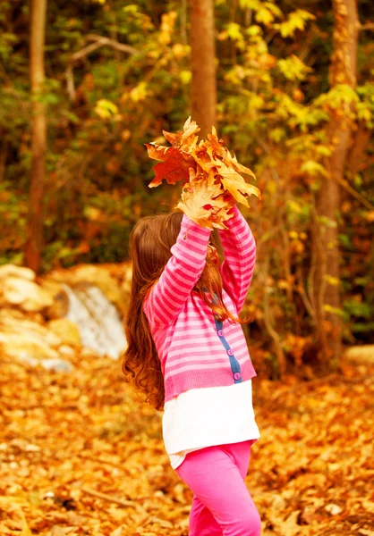 Adorabile ragazza nei boschi di autunno — Foto Stock