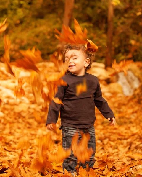 Bambino carino nella foresta autunnale — Foto Stock