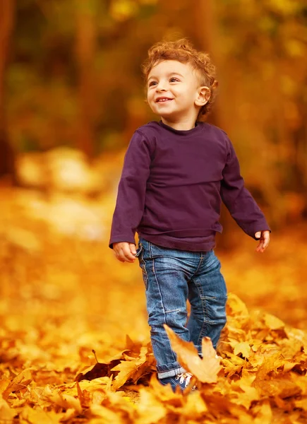 秋の森の中で素敵な少年 — ストック写真