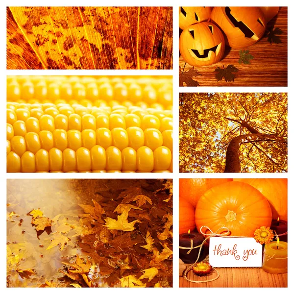 Collage zur Herbstsaison — Stockfoto