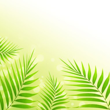 Palm leaves background clipart