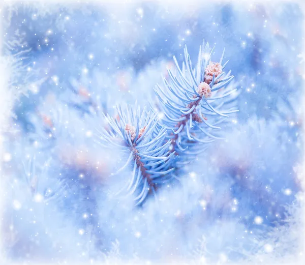 Winter window background — Stock Photo, Image