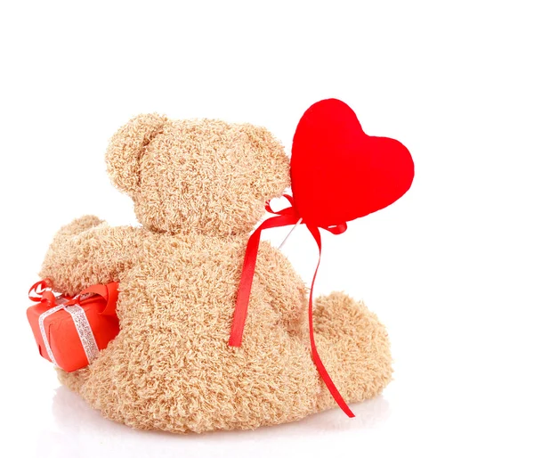 Back side of teddy bear — Stock Photo, Image