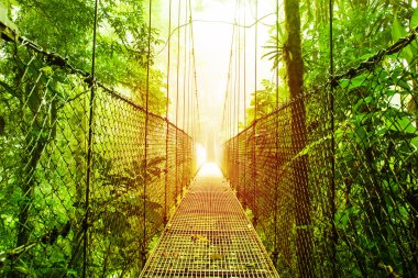 Arenal Hanging Bridges park of Costa Rica clipart