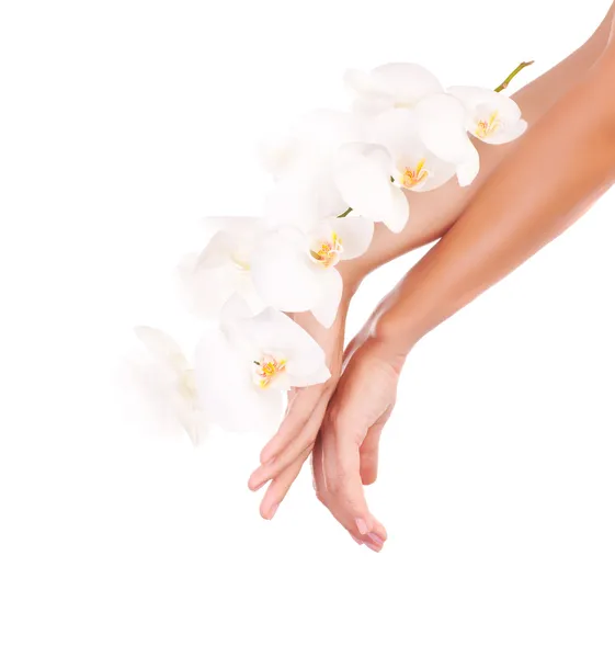 Mani femminili con fiori di orchidea — Foto Stock