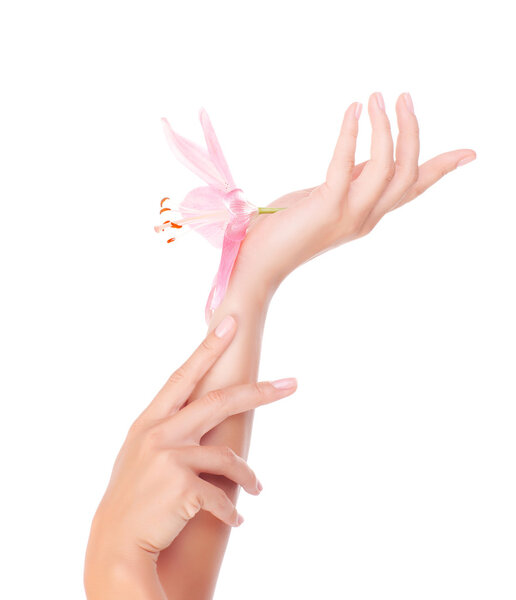 Female hands with lily flower