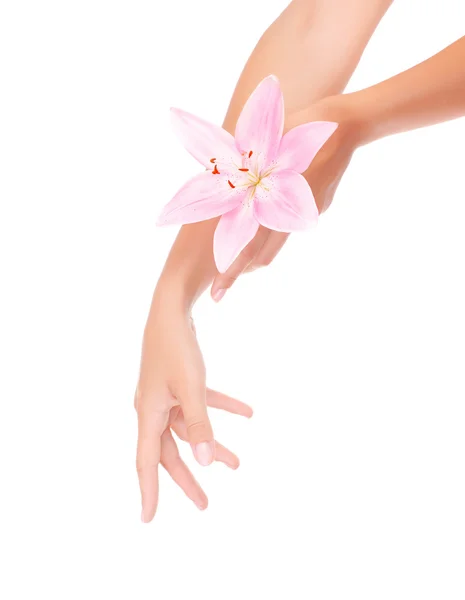 Ženské ruce s růžové lilie — Stock fotografie