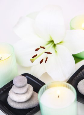 Natürmort spa salon