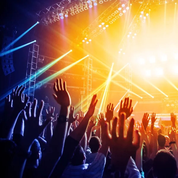 People enjoying rock concert — Stock Photo, Image