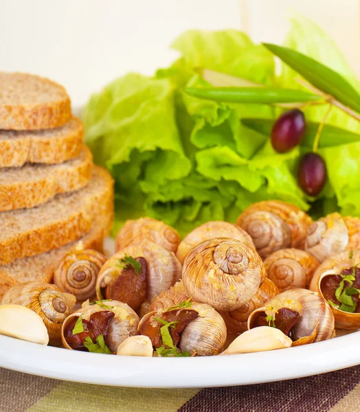 Escargot mit grünem Salat — Stockfoto
