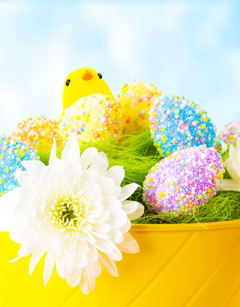 Colorful Easter eggs with chick — Stock Photo, Image