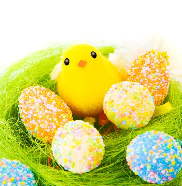 Colorful eggs with little chick — Stock Photo, Image