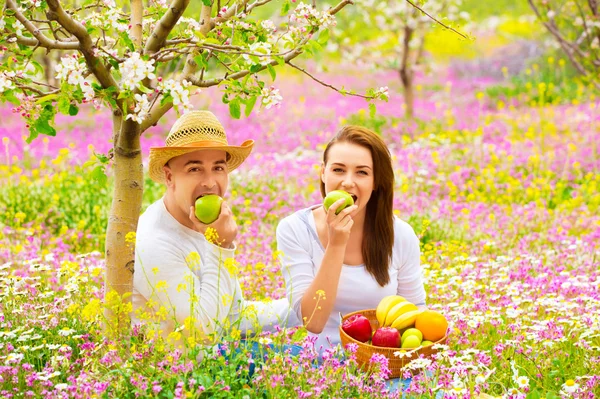 Bella coppia avendo pic-nic — Foto Stock