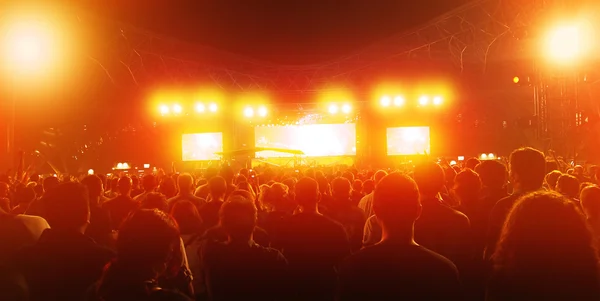 Mucha gente en el concierto — Foto de Stock