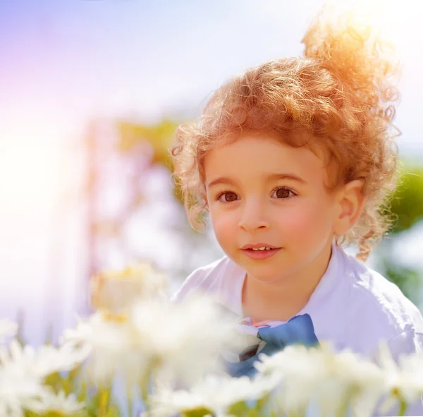 Carino bambino su campo margherita — Foto Stock