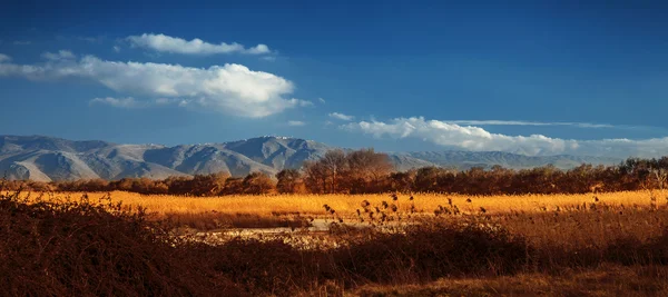 Valle seco cerca de montañas —  Fotos de Stock