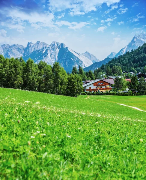 Vallée verte dans les montagnes — Photo