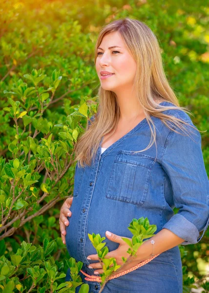 Femme enceinte dans le parc — Photo