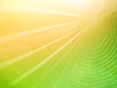 SpiderWeb arka plan