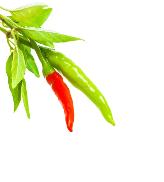 Chili pepper border — Stock Photo, Image