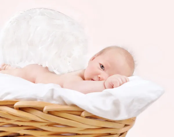 Newborn angel — Stock Photo, Image