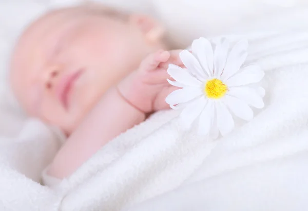 Pequeño niño dormido — Foto de Stock