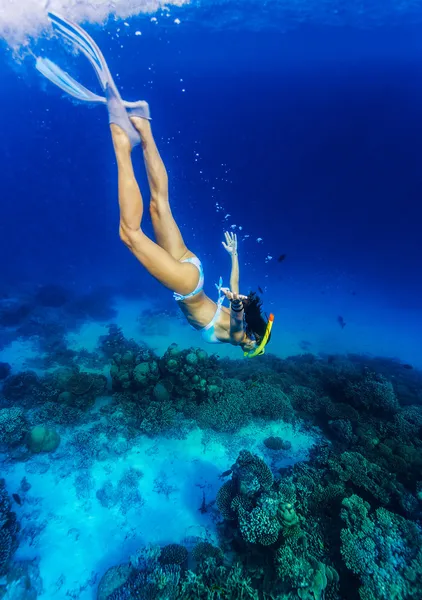 바다 바닥에 다이빙 하는 여자 — 스톡 사진