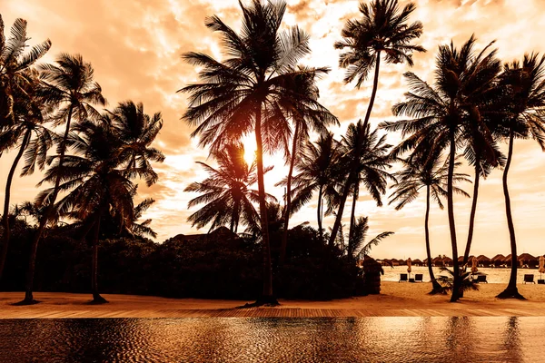 Playa tropical al atardecer — Foto de Stock