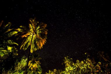 güzel doğal arka plan