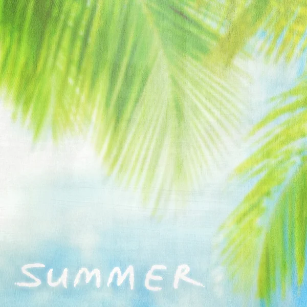Summer vintage background — Stock Photo, Image