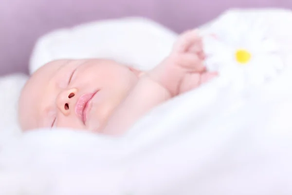 Красивая новорожденная девушка спит — стоковое фото