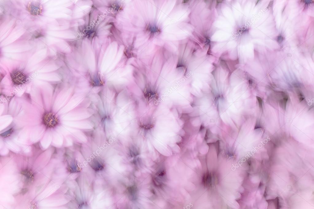Dreamy background of flowers