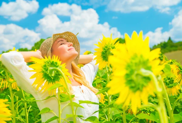 Njuter av solros fält — Stockfoto