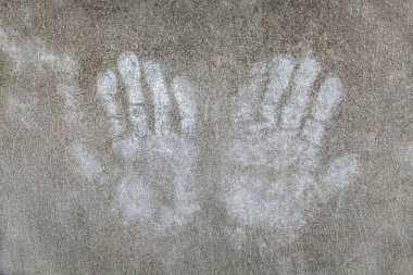 Halk Birliği Konsepti