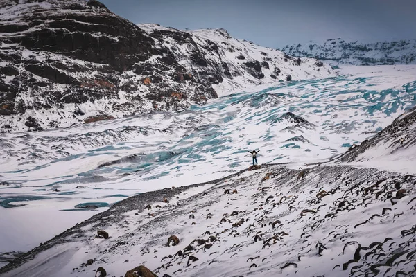 Viajero feliz en Islandia — Foto de Stock