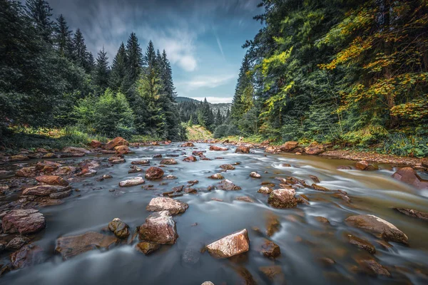 Mountain river in Carpathians. Ukraine — Stock Photo, Image