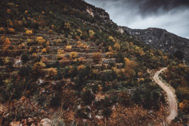Beautiful Landscape of a High Mountains in Overcast Weather. Fall Seasonal Forest Beauty of a Nature. Lebanon in Autumn