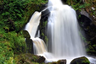 şelale triberg Kara Orman