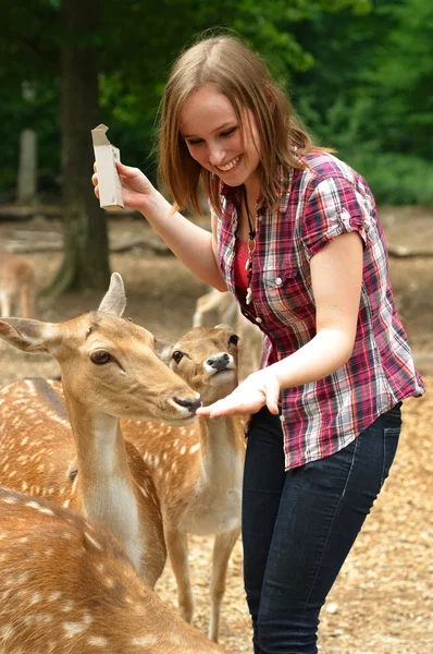 Deer Park besleyen kadın