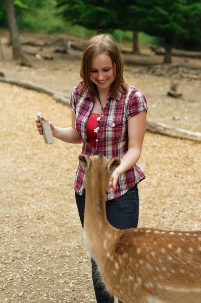 stock image Young woman feeding a deer