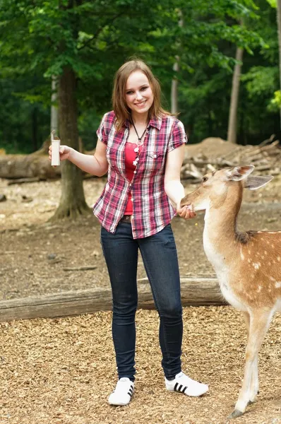 Femme nourrissant un cerf dans le zoo — Photo
