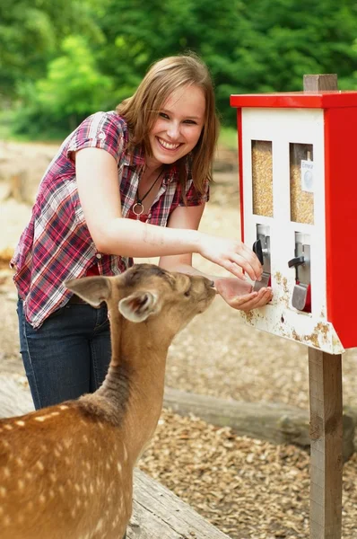 Woman feeding deer in a park — Stock Photo, Image