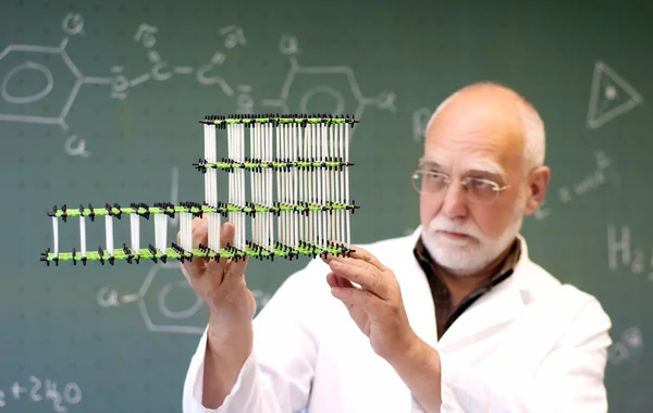 Man compares two molecular models — Stock Photo, Image