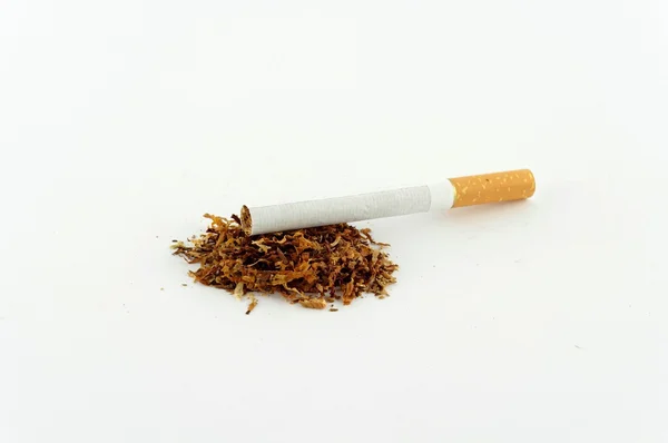 Tobacco — Stock Photo, Image