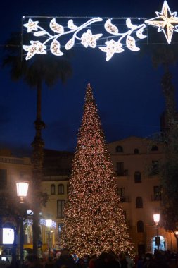İtalya: Salerno 'daki Noel Ağacı manzarası, 8 Aralık 2021.