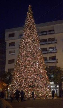 İtalya: Salerno 'daki Noel Ağacı manzarası, 8 Aralık 2021.