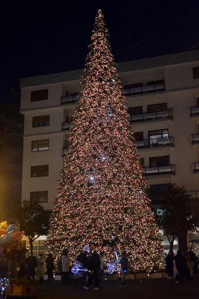İtalya: Salerno 'daki Noel Ağacı manzarası, 8 Aralık 2021.
