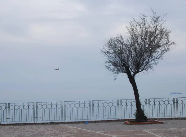 Talya Salerno Deniz Manzarası Mart 2022 — Stok fotoğraf