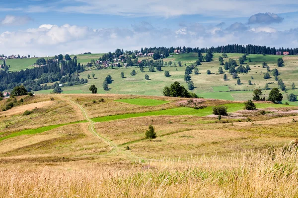 Fields and meadows surrounding Zakopane — Stock Photo, Image